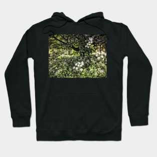 Summertime cow parsley Hoodie